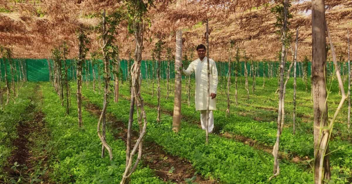 man standing in farm