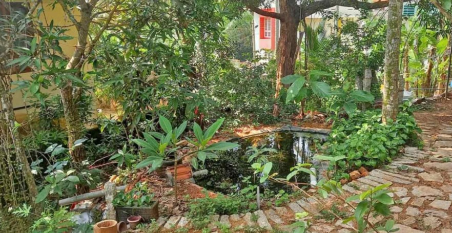 a mango shaped pond in an eco friendly house in kerala