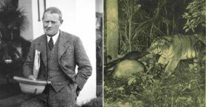 In 1925, a Forest Officer Swapped His Gun for a Camera & Gifted India Its First Wild Tiger Photo
