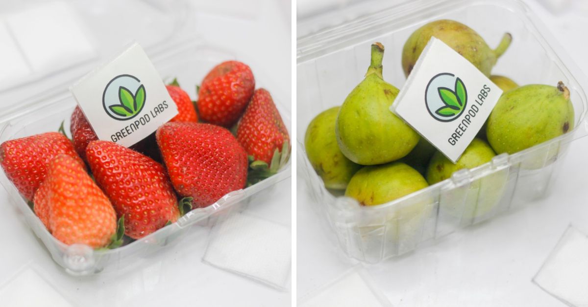 Startup’s Eco-Friendly Sachets Extend Life of Veggies & Fruits Without Refrigeration