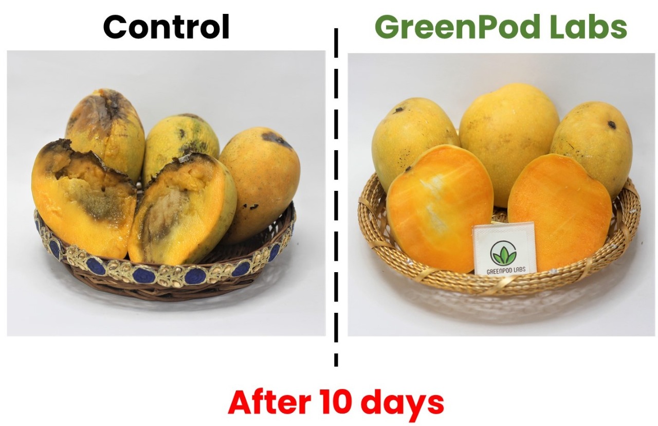 Startup’s Eco-Friendly Sachets Extend Life of Veggies & Fruits Without Refrigeration