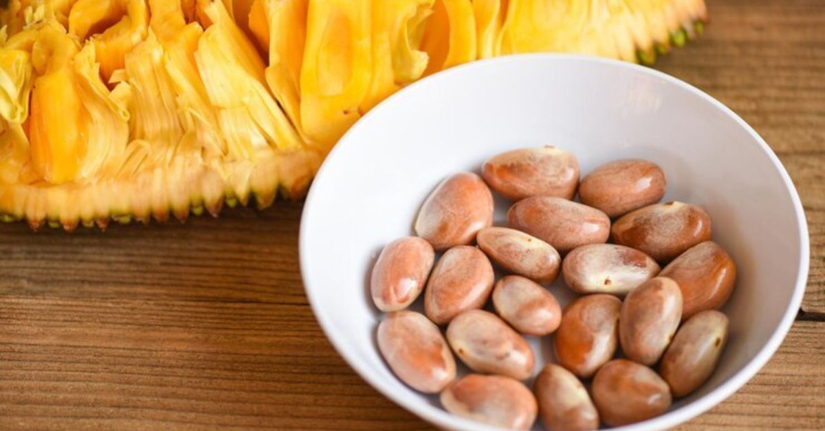 Health benefits of jackfruit seeds