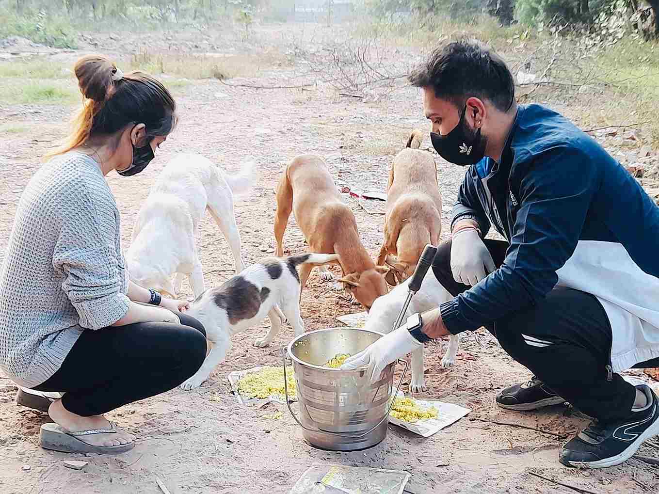 Jiya et Ishan se promènent dans le sud de Delhi pour nourrir les animaux errants