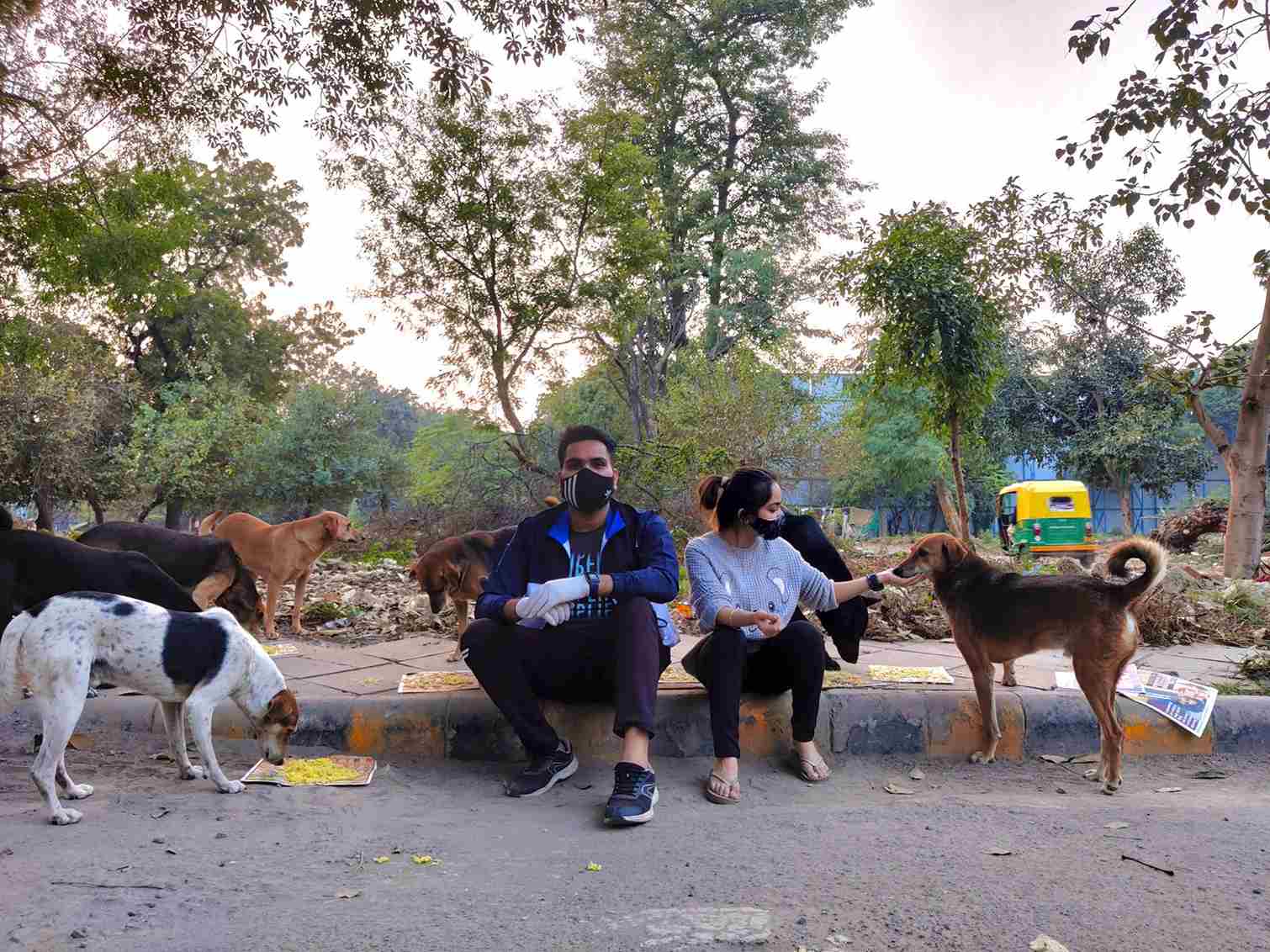 Jiya and Ishan go around the areas of South Delhi feeding stray animals