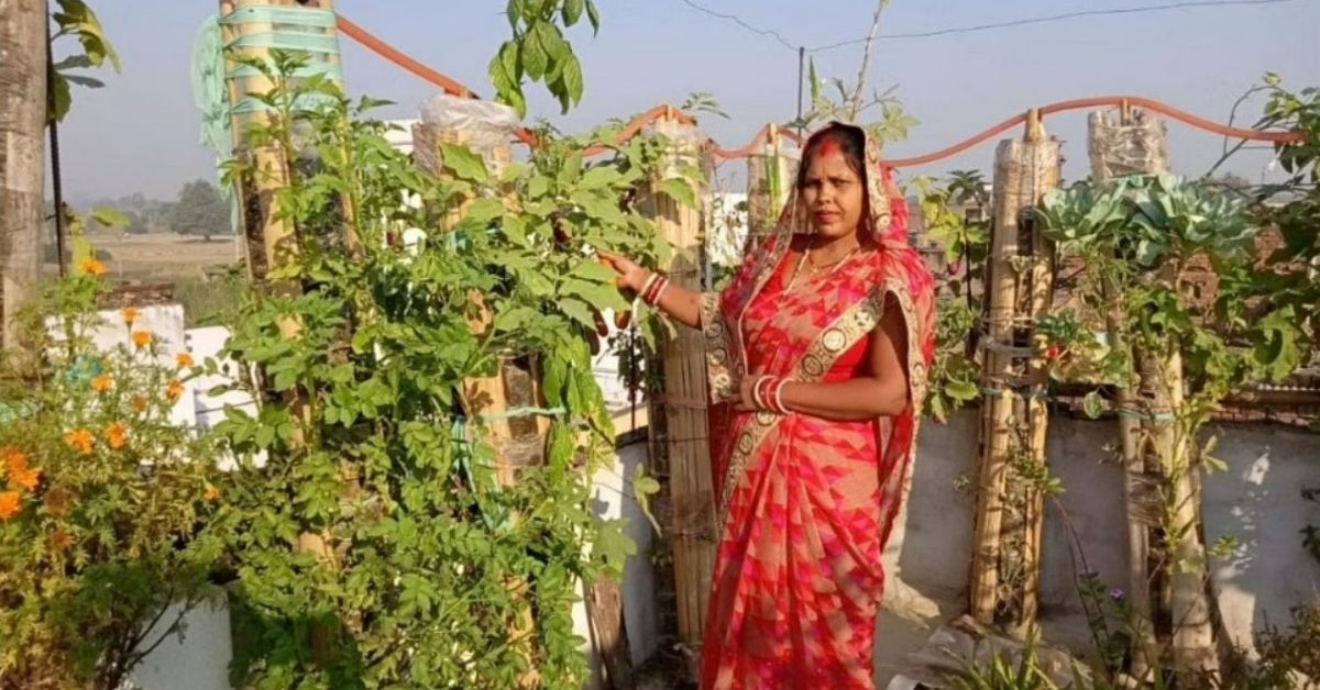 Bihar’s Home Gardener Uses PVC Pipes To Harvest 5 KG of Organic Veggies Every Week