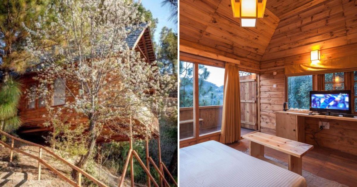 Suro Treehouse Resort