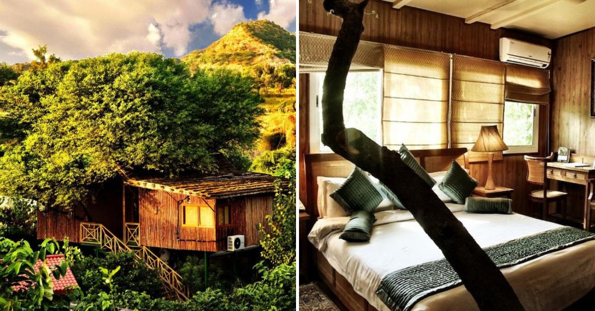 10 Tree Houses In India For An Unforgettable Vacation 40 Feet In The Air