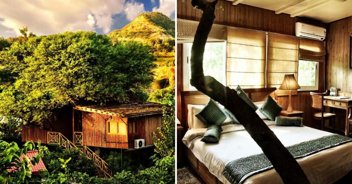 The Tree House