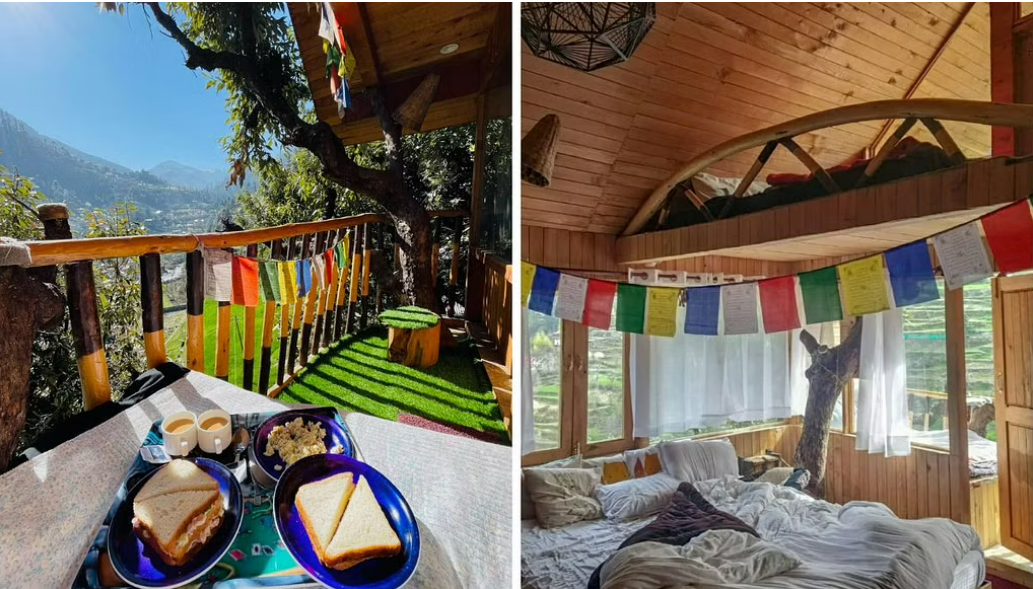 ‘Money Grows on Trees’: Engineer Earns Rs 1 Crore with Sustainable Treehouse Hotel Biz