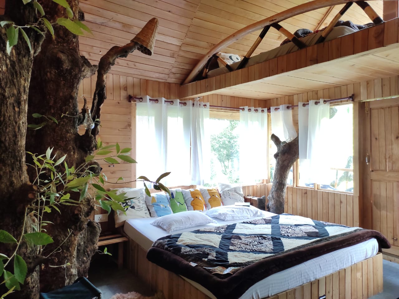 ‘Money Grows on Trees’: Engineer Earns Rs 1 Crore with Sustainable Treehouse Hotel Biz