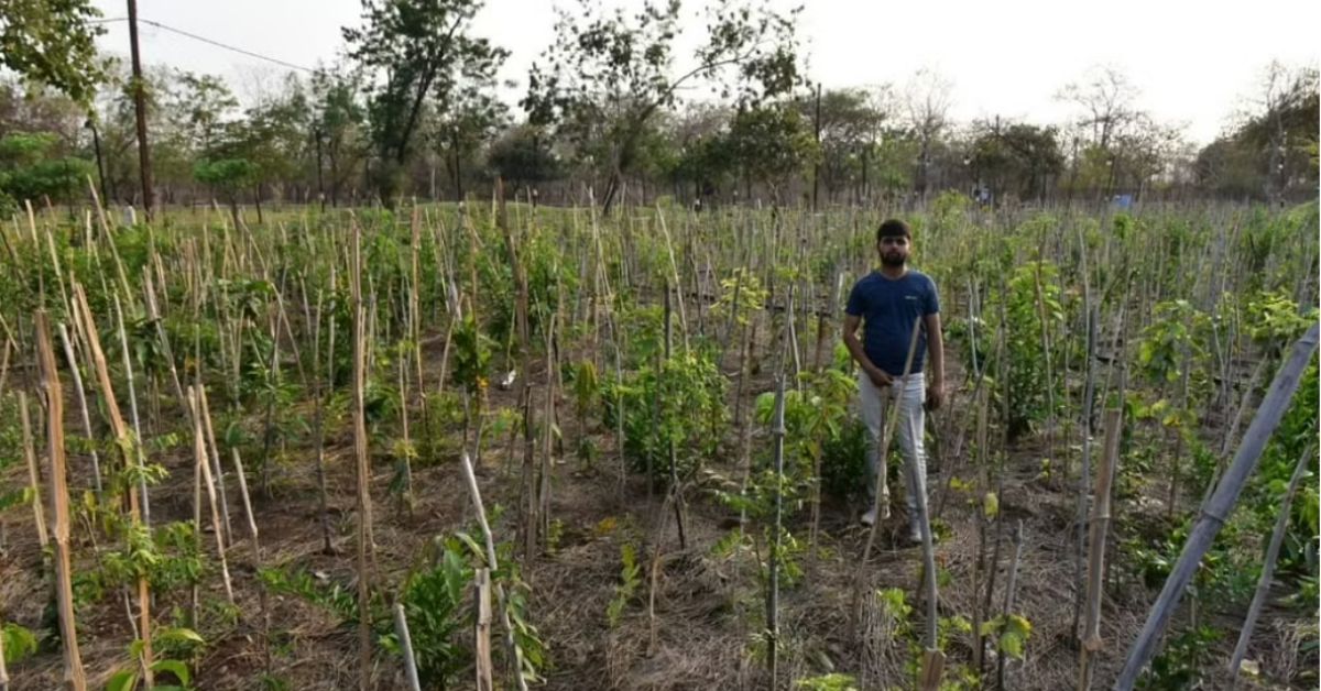 After Visiting Drought-Prone Villages, 23-YO Plants 3 Lakh Trees in Three Years