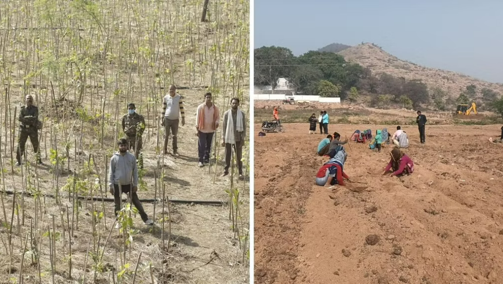 After Visiting Drought-Prone Villages, 23-YO Plants 3 Lakh Trees in Three Years
