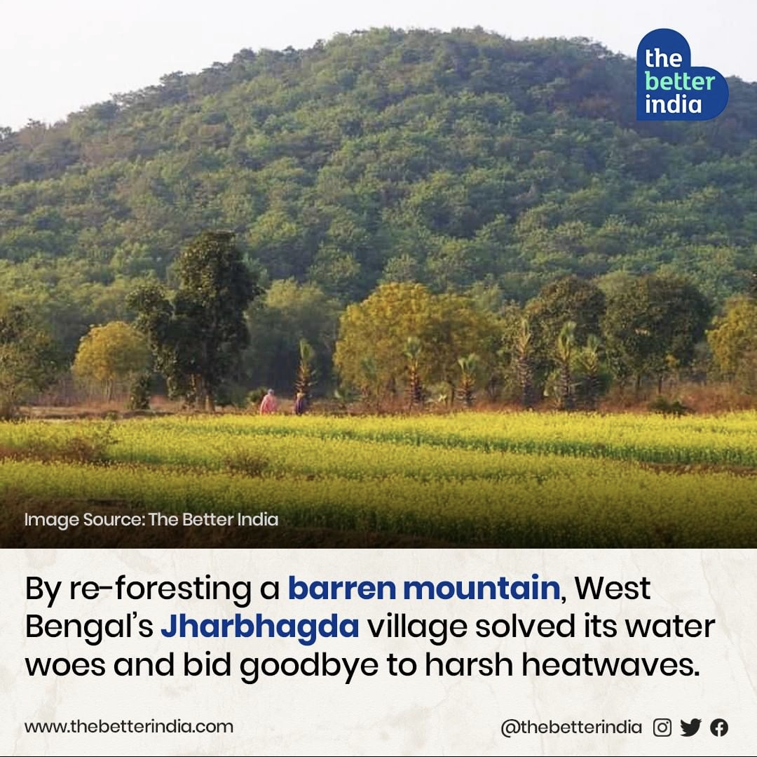 Reforesting a barren mountain in West Bengal