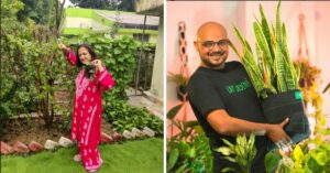 How to Take Care of Your Plants During Monsoons? With These 10 Simple Tips