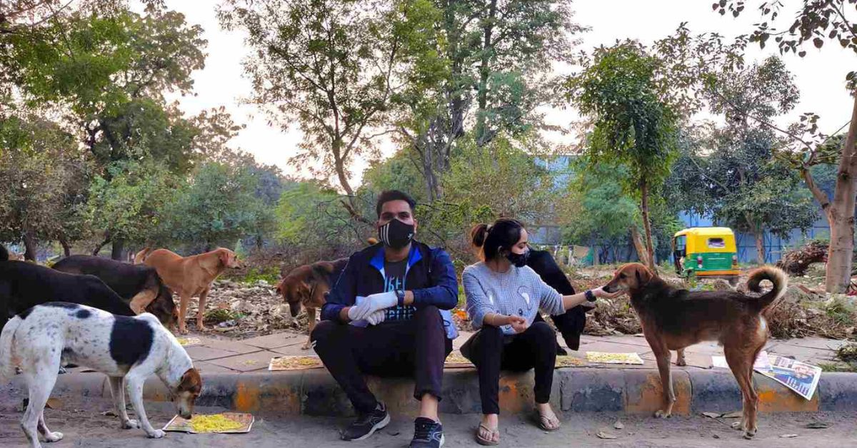 pawriwar 1656423832 DU Students Start Community Kitchen for Dogs, Rescue Over 1000 Strays
