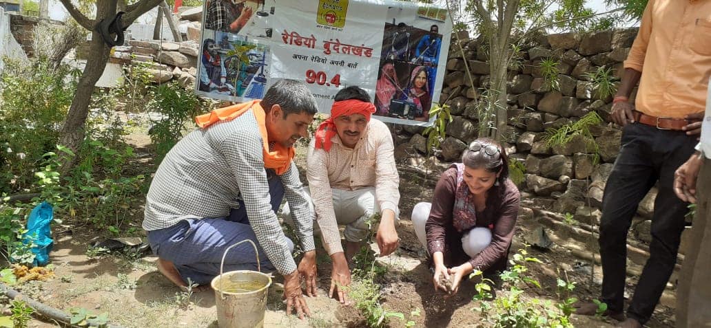 people planting trees