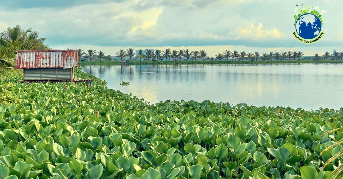 India Has Millions of Hectares of These ‘Biological Supermarkets’; You Can Protect Them