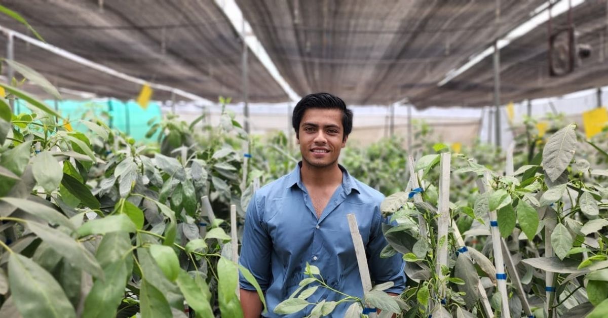 Harshit Godha in his avocado farm