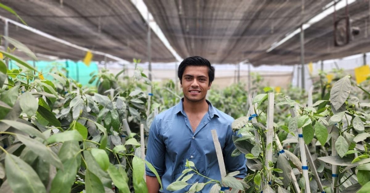 Armed With UK Degree, Bhopal Boy Aims to Power an Avocado Farming Revolution