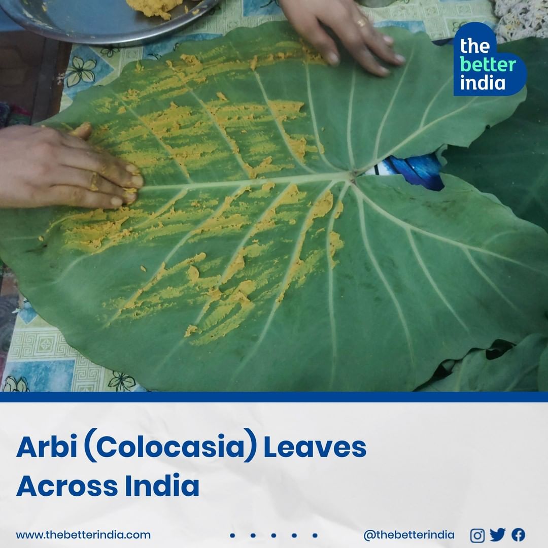 Arbi Leaves