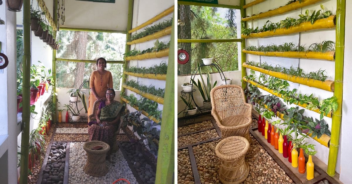 Kerala University's vertical garden Viridescent Haven