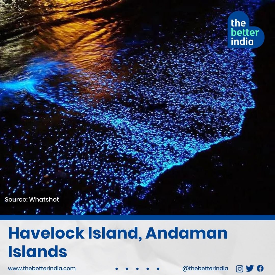 Havelock Island, Andaman Islands