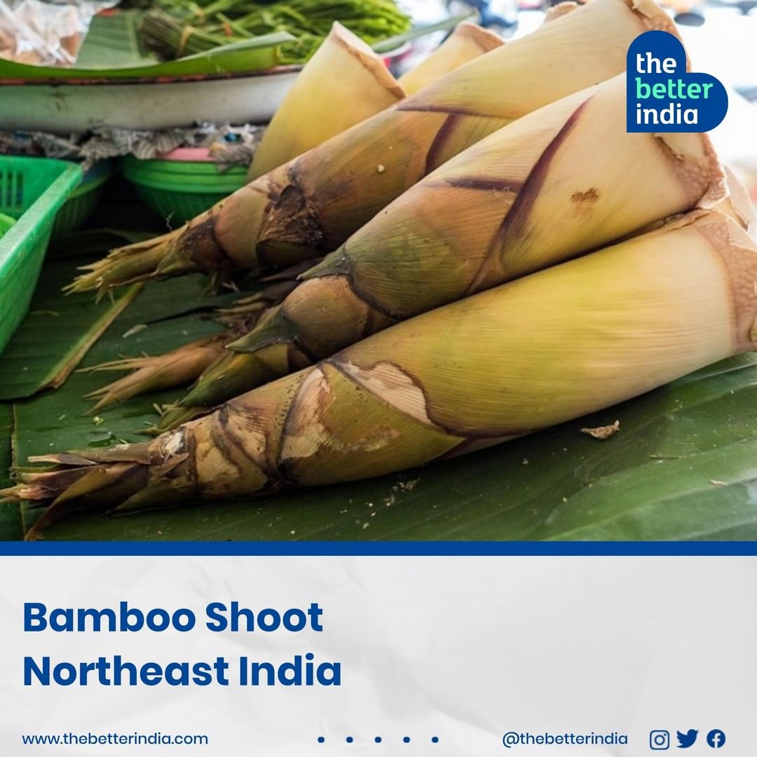 Bamboo Shoots