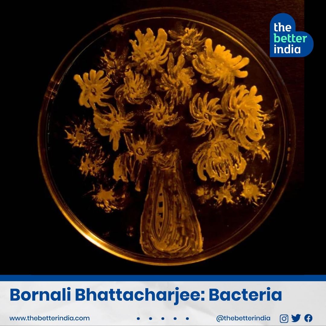 Bornali Bhattacharjee's art with bacteria
