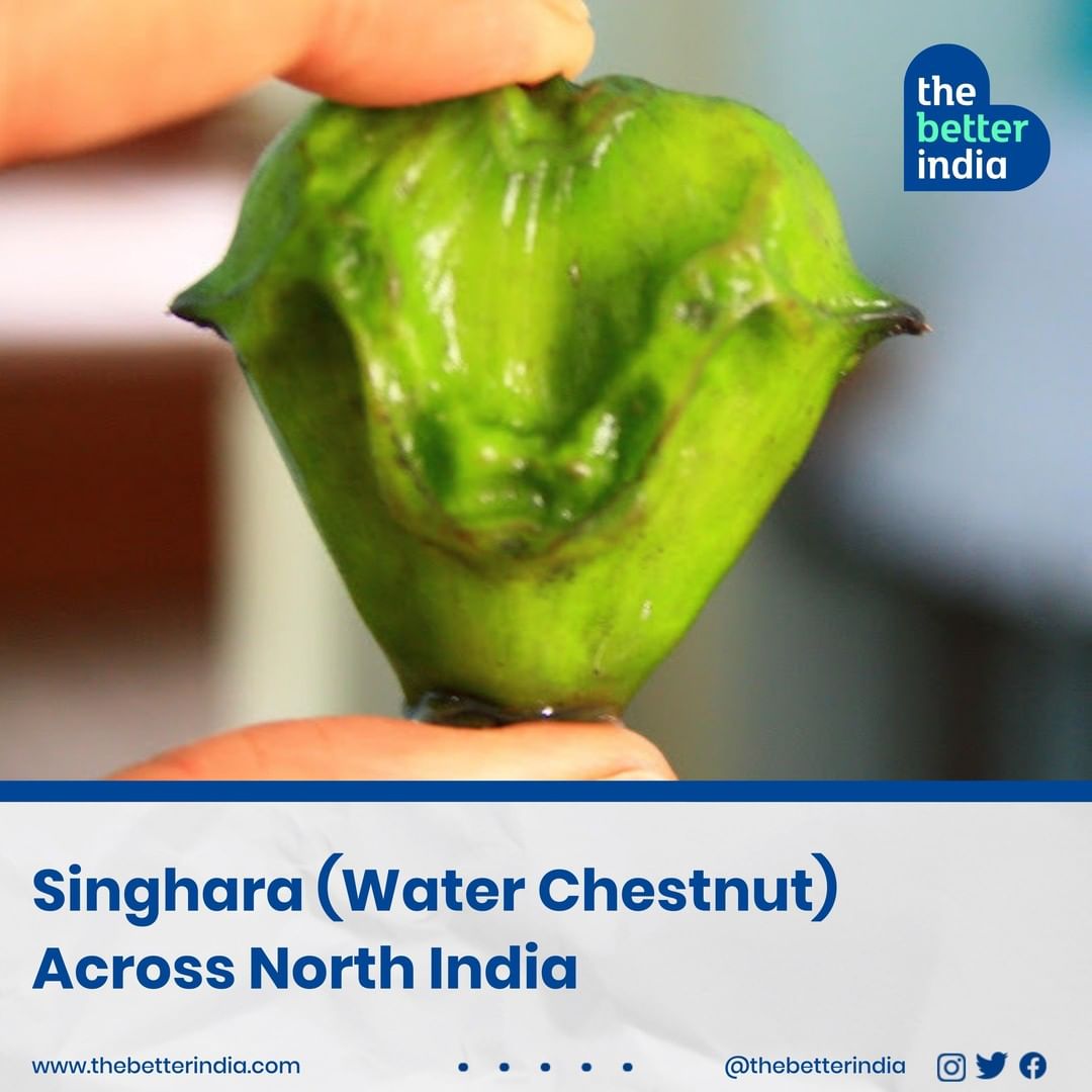 Singhara (Water Chestnut)
