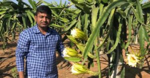 Doctor Uses Organic Dragon Fruit Farming To Earn Rs 1.5 Cr, Helps 5000 Farmers Learn
