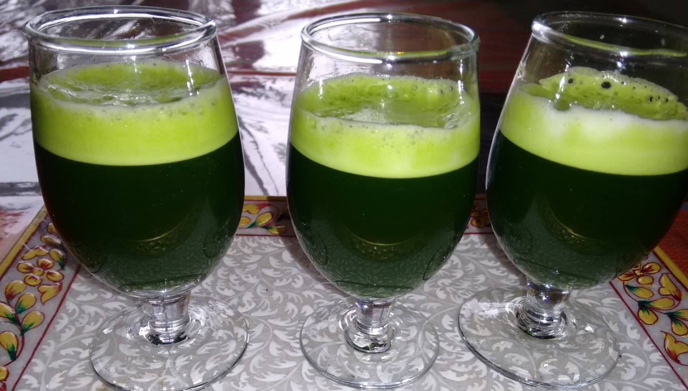 How to make wheatgrass at home