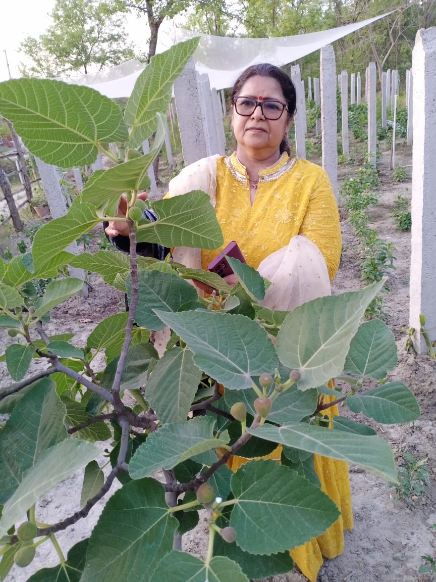 woman entrepreneur turned farmer Reeva Sood at her organic farm