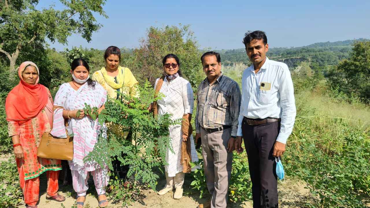 Reeva with her team at the organic farm in himachal pradesh