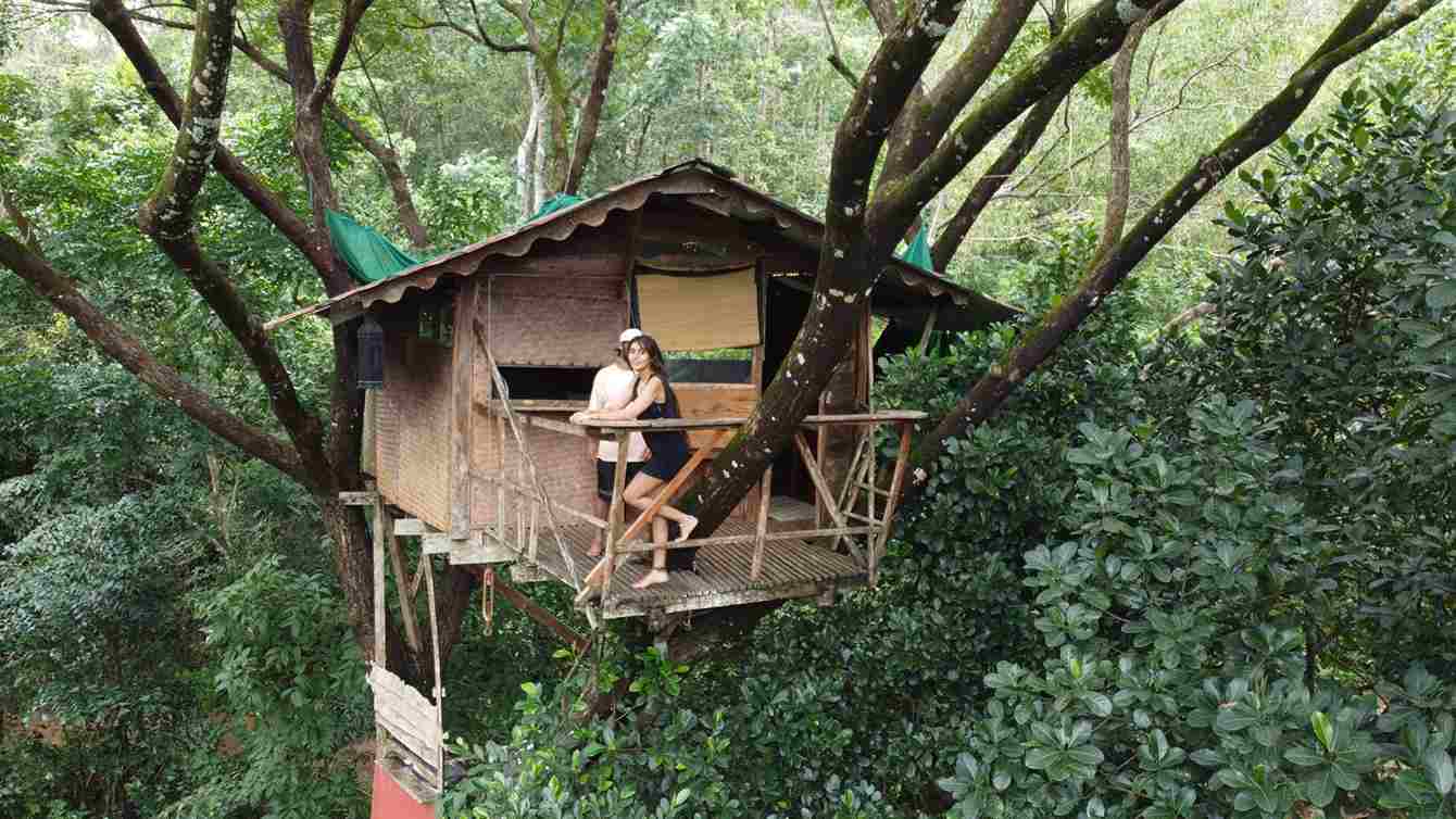 Live in a treehouse at Varanashi Farms