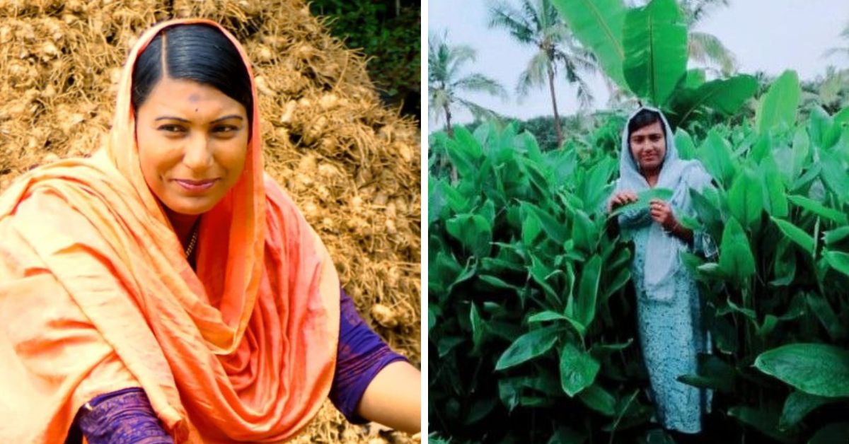Jumaila Banu Kerala Arrowroot Farmer