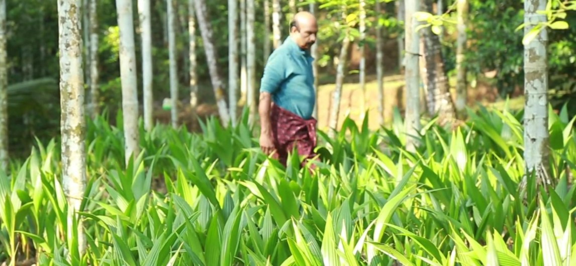 награденият фермер от Керала К. Т. Франсис във фермата си