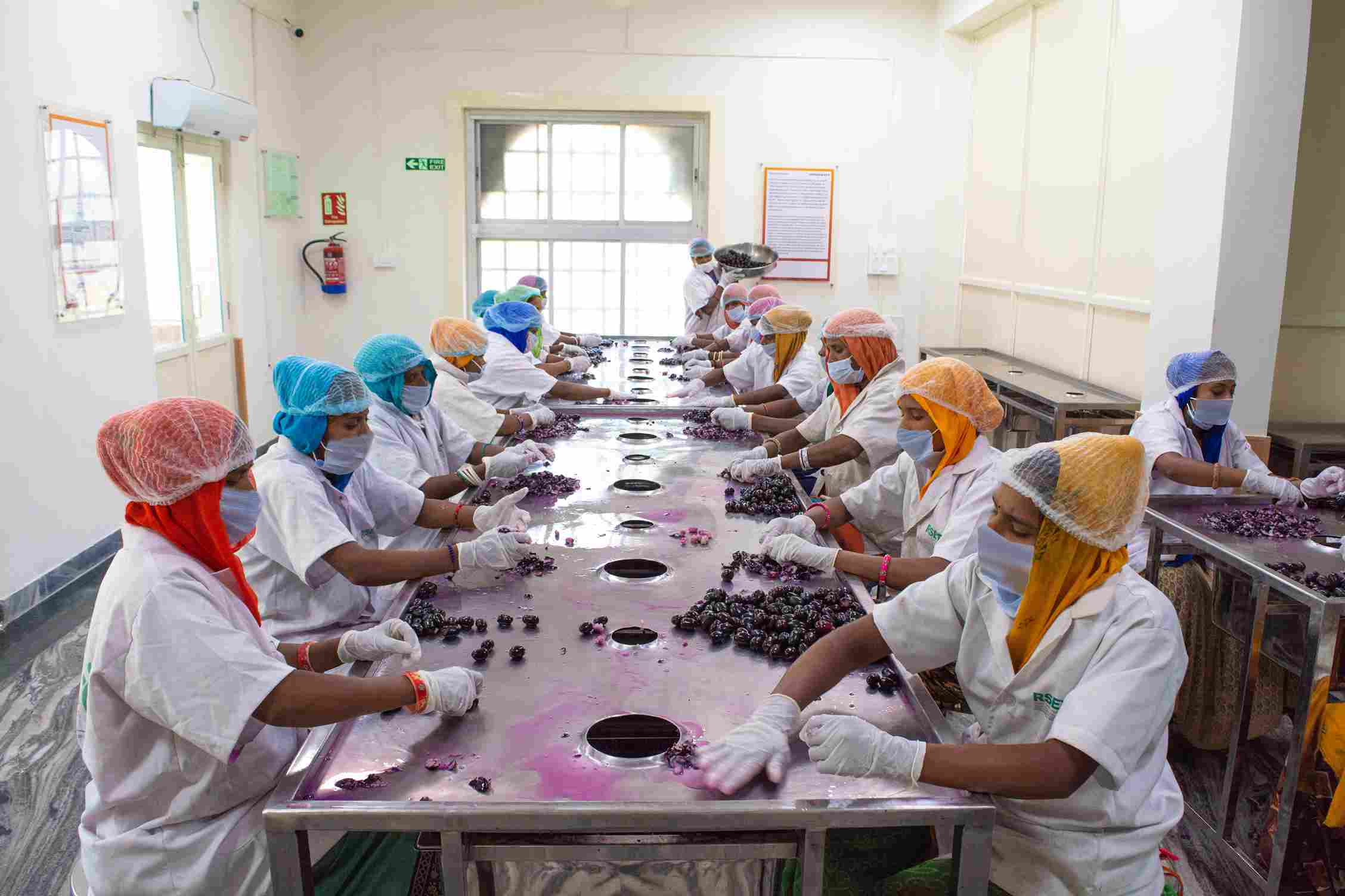 Jamun processing units