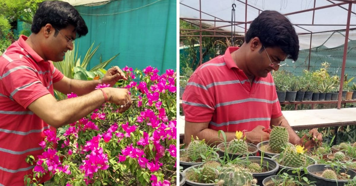 organic terrace farmer saurabh tripathi with his exotic plants