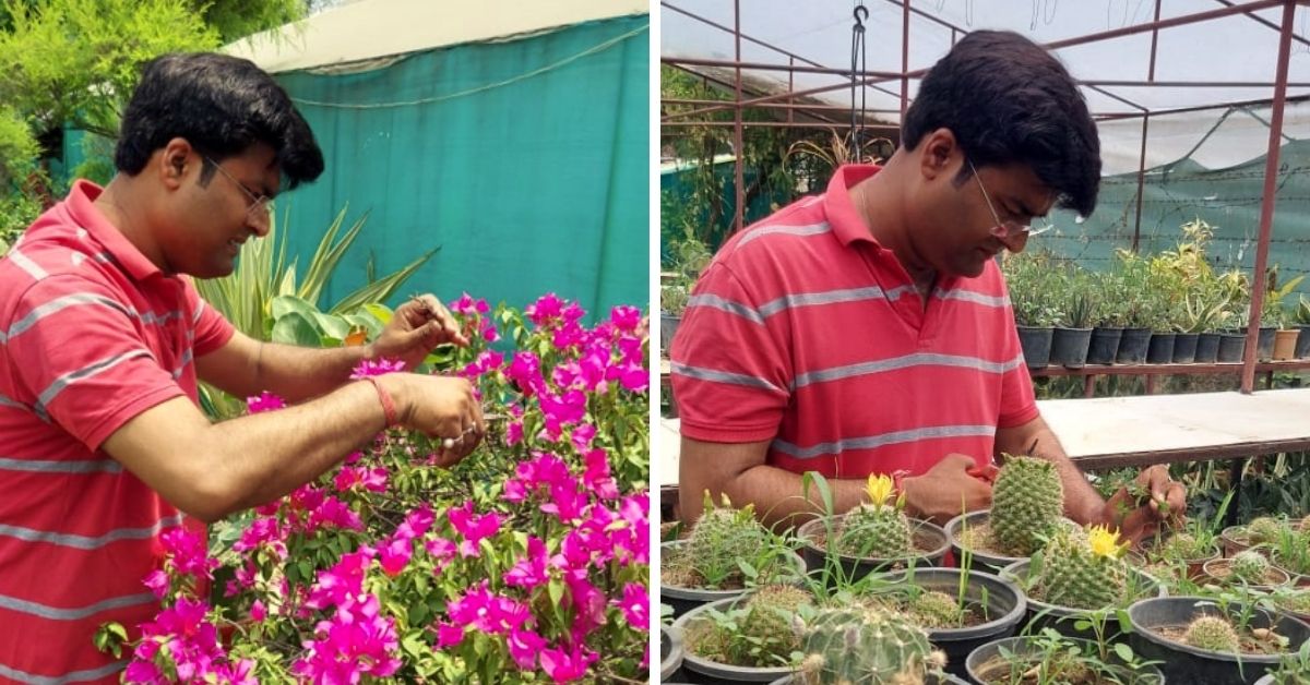 lucknow organic terrace farmer saurabh tripathi with his exotic plants