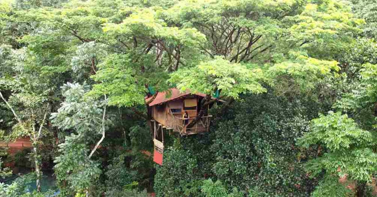 treehouse at Varanashi Farms