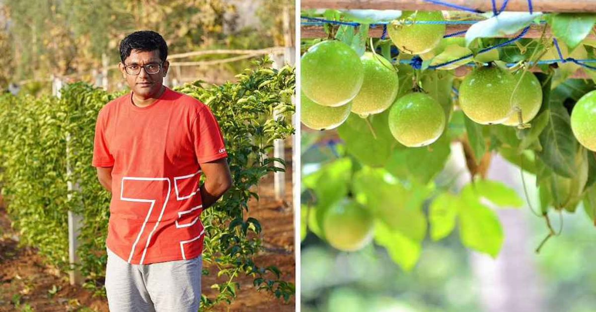 In Mumbai’s Concrete Jungle, Beekeeper Creates Terrace Garden Full of Passionfruit