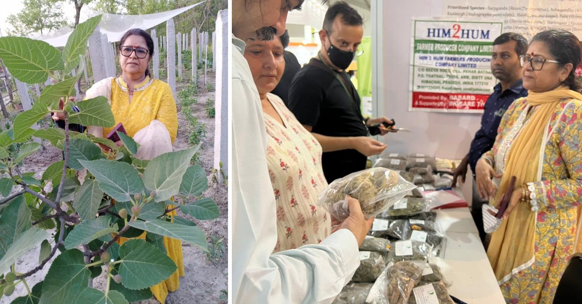 Woman Grows Black Wheat & ‘Sarpagandha’ On Unique Organic Farm, Uplifts Village Women