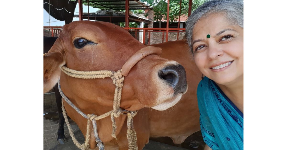 Milan with the cattle on her farm