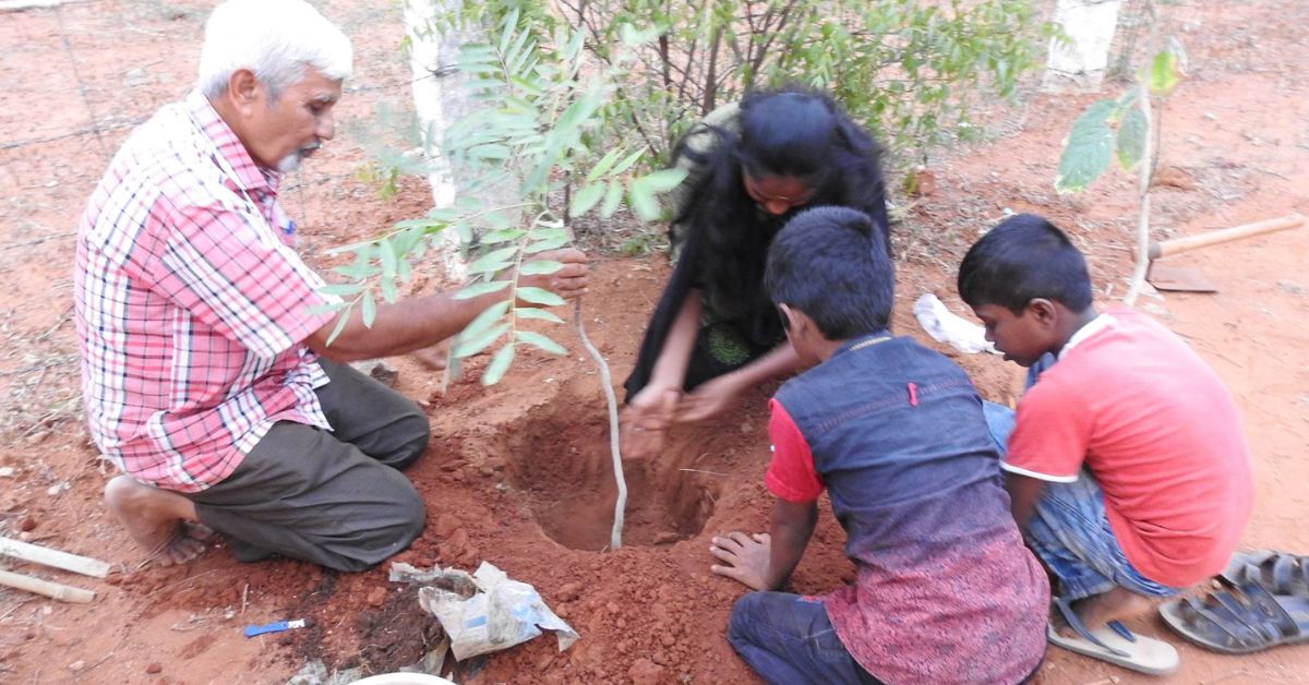 Trees being planted at Kalvi Thunai