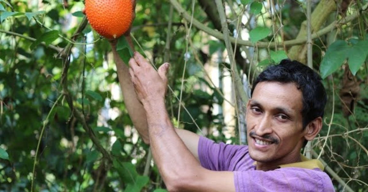 Anil Balanja exotic fruit farmer