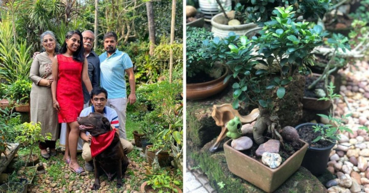 ‘Mother’ to 225 Bonsai Shares Tips on How to Grow Miniature Trees in Pot