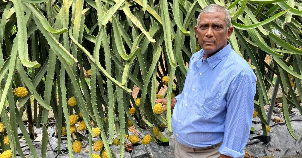 Dragon fruit famrner Joseph Karackadu