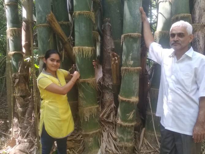 Father and daughter with their giant bamboo growing on the farm.