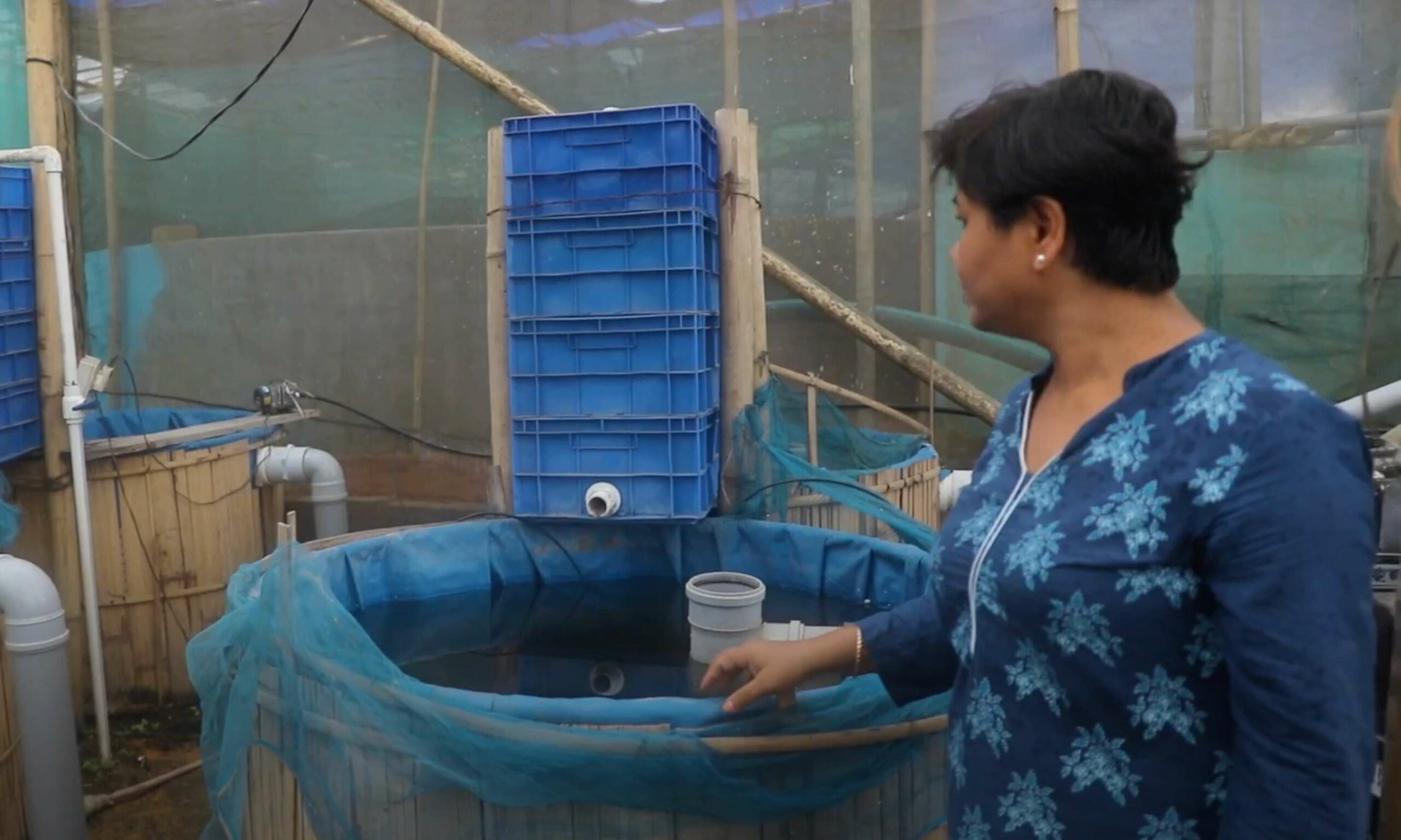 Ranjita Saikia Deka memulai budidaya ikan berbasis darat di Assam.