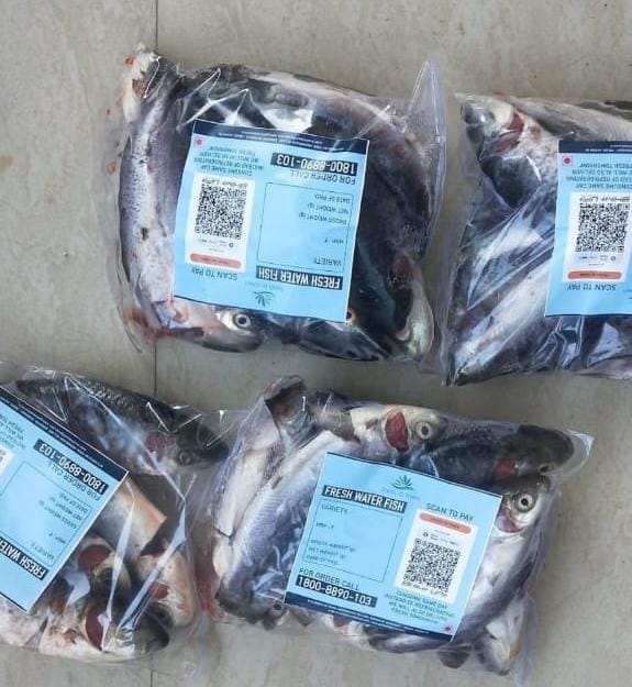 Fresh packaged fishes of Ranjita's farm